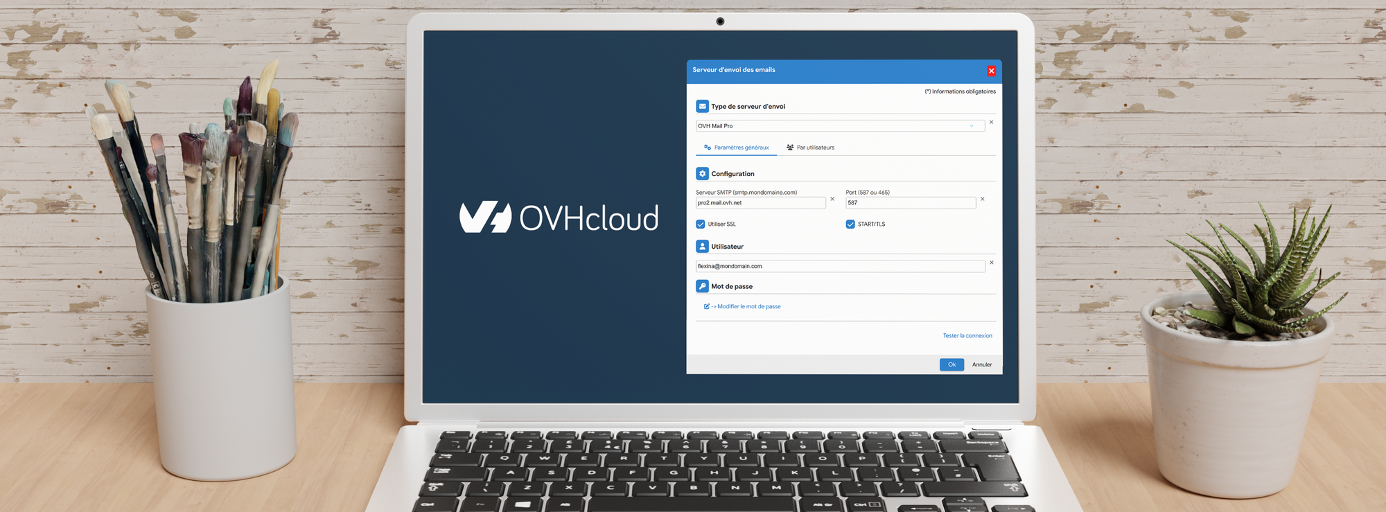 Comment Configurer OVH Email Pro dans Flexina