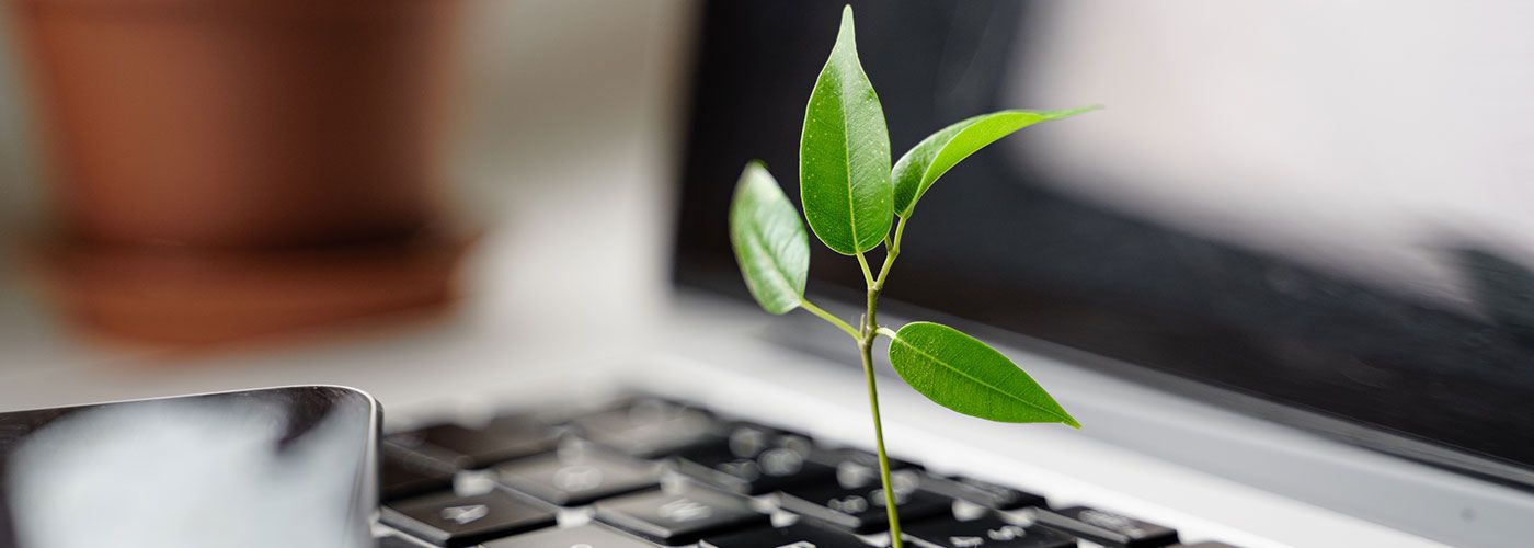Hoe factureert u en stelt u uw tarieven vast als freelancer?